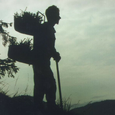 Profilbild von Marcus Rohrmoser